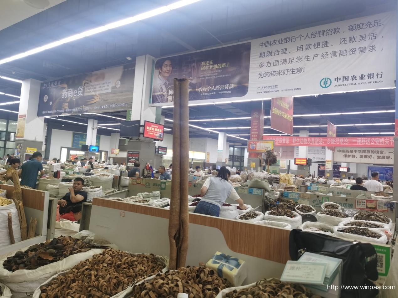 农行网捷贷客服电话