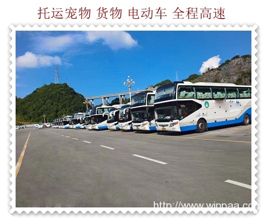 南阳交警客服电话